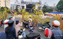 Rộn ràng sắc vàng tại 'chợ mai di động' ở TP Long Xuyên ngày 30 Tết