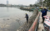 Cá chết hàng loạt ở hồ nước thuộc công viên Thiên văn học Hà Nội
