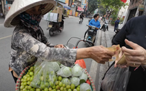 Xác minh vụ người bán hàng rong ở Hà Nội tính bán túi táo nhỏ giá 200.000 đồng cho khách Tây