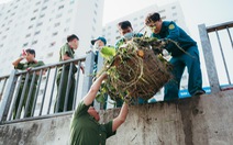 Hơn 350 đoàn viên thanh niên vớt rác, làm phao chắn rác