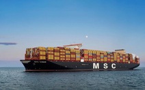 Vì sao hãng tàu MSC lớn nhất thế giới muốn đầu tư cảng trung chuyển quốc tế Cần Giờ?