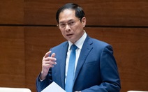 Bộ trưởng Bùi Thanh Sơn: 'Chuyến bay giải cứu là sự kiện rất đau xót'