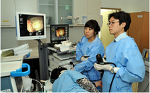 Hàn Quốc siết quy định hưởng bảo hiểm y tế với người nước ngoài