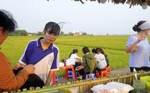 Độc đáo chợ ẩm thực bên cánh đồng chiều ‘chill chill’ ở Bà Rịa - Vũng Tàu