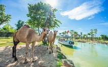 Sức sống River Safari Nam Hội An