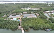Vụ phá rừng dừa Cẩm Thanh, Hội An: Xử lý nghiêm để răn đe chung