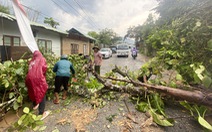 Miền núi Quảng Nam đón mưa giải nhiệt, cây cối bật gốc ngã đổ trên đường
