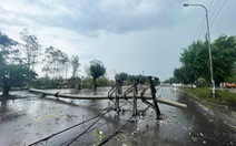 Dông lốc, nhiều nơi ở Quảng Ninh mất điện cục bộ