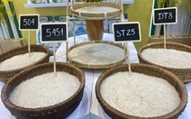Xuất khẩu gạo Việt Nam năm 2023 lập kỷ lục, đầu năm 2024 tiếp tục tăng