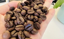 Giá cà phê tiếp tục tăng, khả năng chạm mốc 100.000 đồng/kg