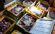Bắt giữ 2,2 tấn thịt chim bốc mùi hôi thối đang vận chuyển ra Hà Nội tiêu thụ