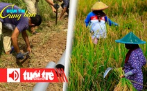 Điểm tin 8h: Nguy cơ thiếu nước sinh hoạt do xâm nhập mặn; Indonesia thiếu hụt gạo nghiêm trọng
