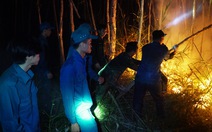 Hơn 600 người trắng đêm dập lửa gần 50 héc ta rừng vẫn đang cháy ở Cà Mau