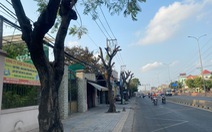 Vì sao hàng cây xanh ở quận Bình Tân bị cắt trụi lủi giữa lúc nắng nóng?