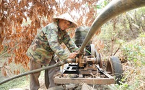 Hạn hán Tây Nguyên: Nông dân tổng lực tìm nguồn nước tưới cây