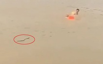 Hai người đàn ông tắm sông hoảng hồn khi thấy rắn bơi về phía mình