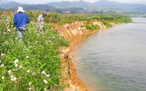 Đất sản xuất bị 'ngoạm' dần vì sạt lở bờ sông Ngàn Phố