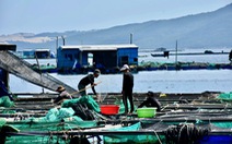 Khánh Hòa hỗ trợ người bị thu hồi đất nuôi trồng thủy sản ở Vân Phong