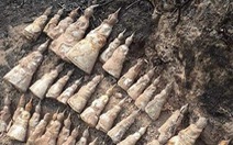 Rà phá bom mìn, phát hiện kho 51 tượng Phật có niên đại hàng trăm năm