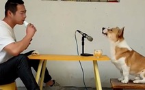 Video hài nhất tuần qua: Chú chó ngồi hát song ca với ông chủ