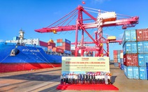 Cảng Chu Lai đưa vào vận hành hệ thống cẩu chuyên dụng
