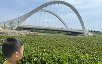 'Giải cứu' sông Cổ Cò ở Quảng Nam với vốn nghìn tỉ đang bị tắc, vì sao?