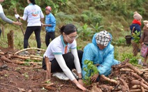 ABBANK gây quỹ 50.000 cây gỗ lớn cho các gia đình khó khăn tỉnh Quảng Bình