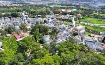 Bộ Công an yêu cầu Lâm Đồng, Quảng Ngãi cung cấp thông tin dự án trồng, chăm sóc cây xanh đô thị