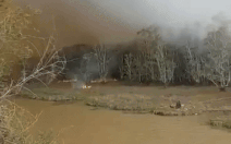 Đã cơ bản dập tắt đám cháy trong Vườn quốc gia Tràm Chim