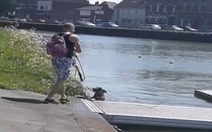 Chú chó 'đuối nước' vừa được cứu lại nhảy xuống sông