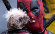 Dogpool, chú chó xấu xí trong Deadpool & Wolverine