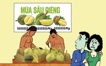 Vui buồn mùa sầu riêng