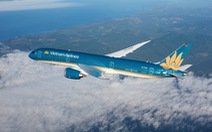 70 ngày và hành trình phủ xanh hơn 27 hecta rừng của Vietnam Airlines