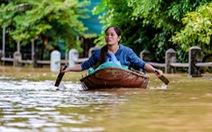 Bao giờ rốn lũ Hà Nội hết ngập - Kỳ 2: 'Lũ rừng ngang' đổ nước về Hà Nội