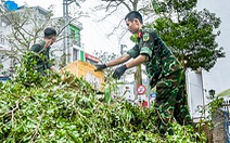 Mở chiến dịch 7 ngày dọn dẹp thành phố Hạ Long sau bão số 3 Yagi