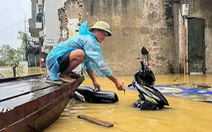 Lũ trên sông Hồng vượt báo động 2, trời đang mưa to gây nguy cơ ngập trong nội thành