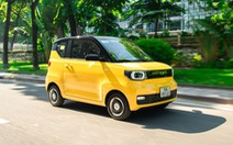 Nhà phân phối Wuling Mini EV nói gì khi kiểm toán nghi ngờ khả năng hoạt động liên tục?