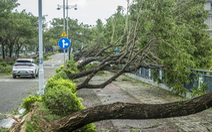 Vì sao Yagi duy trì cấp siêu bão suốt gần 3 ngày?