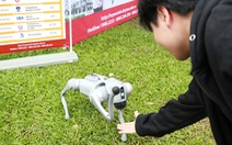 Học sinh thích thú bắt tay chó robot, mở 'túi mù' khi đi nghe tư vấn tuyển sinh