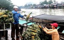 Trăm năm lênh đênh chợ nổi miền Tây - Kỳ 1: Bao chợ nổi đã 'chìm' rồi