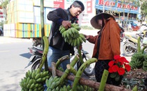 Vì sao nải chuối trên bàn thờ gia tiên thường không thể thiếu với người Huế trong ngày Tết?