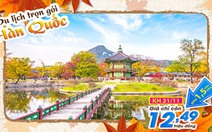 Lời khuyên bổ ích khi chọn tour Hàn Quốc