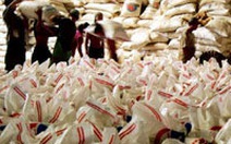 Gạo VN không hề thua kém gạo Thái Lan