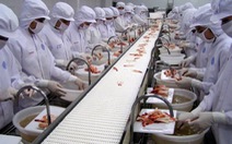 Indonesia bỏ ngỏ thị trường xuất khẩu tôm vào Nhật