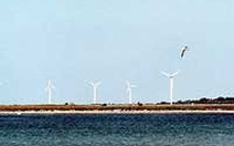 Gotland: Hòn đảo năng lượng sạch