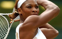 Tứ kết giải nữ Wimbledon: Serena William tiếp tục vững tiến