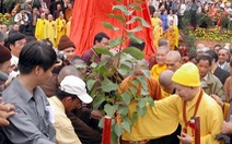 Khởi công xây dựng học viện Phật Giáo VN