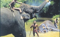 Srilanka: Không tìm thấy xác súc vật ở khu bảo tồn quốc gia