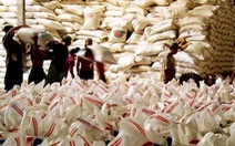 VN vượt Ấn Độ và Mỹ về xuất khẩu gạo