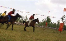 Phú Yên: khôi phục lễ hội đua ngựa dân gian